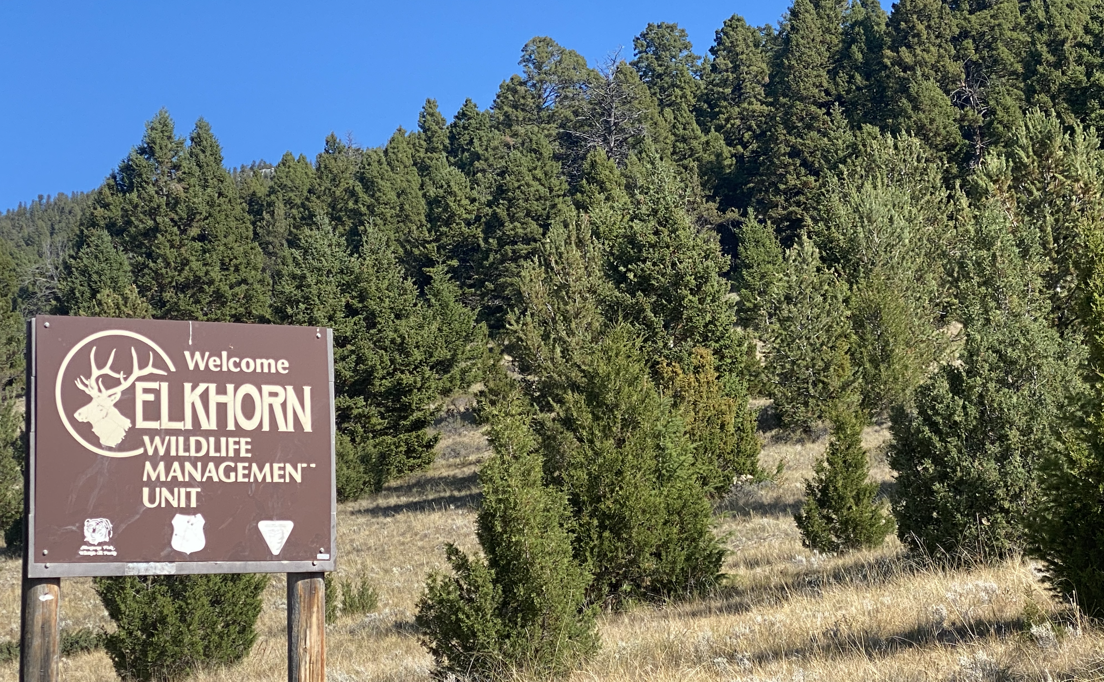 U.S. Forest Service in the Townsend Ranger District acquire 1,400 acres of land - Vimarsana News